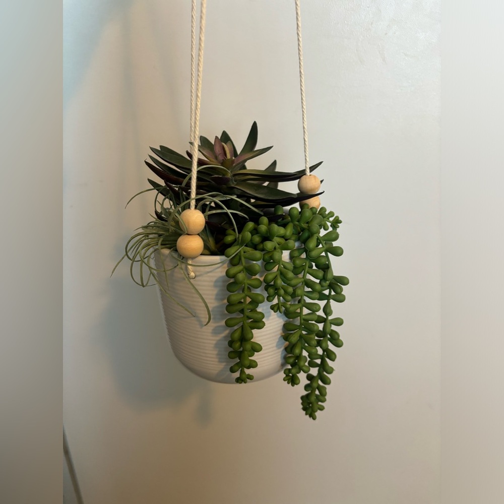 Hanging Ceramic Planter with Succulents